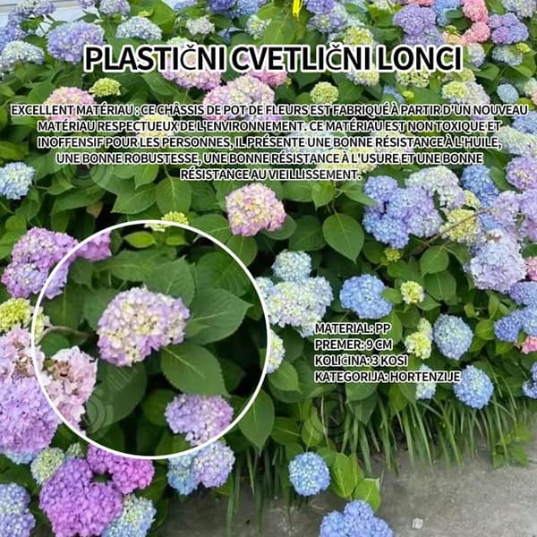 INN Hortensior 3st 9cm Lövfällande buske Perenn växt Hortensia Trädgård Hemmakontor Trädgårdsdekoration Bonsaiväxter