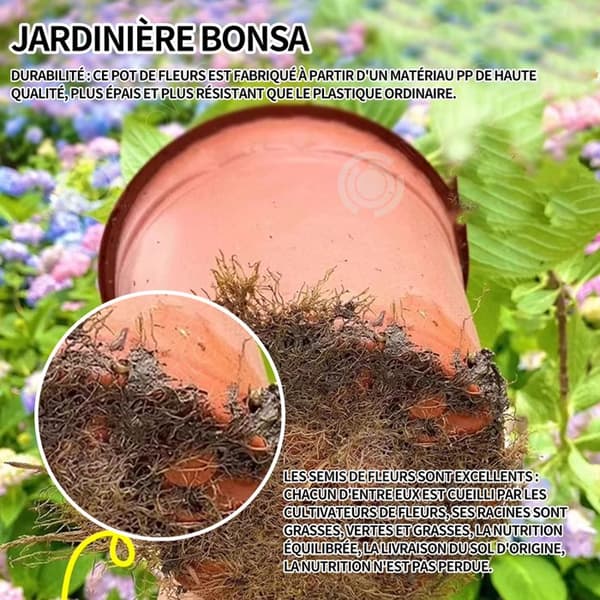 INN Hortensior 3st 9cm Lövfällande buske Perenn växt Hortensia Trädgård Hemmakontor Trädgårdsdekoration Bonsaiväxter