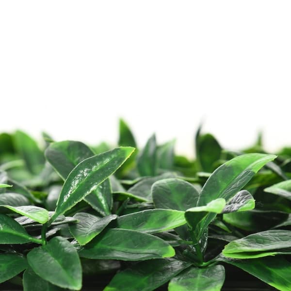 Rootz Artificial Laurel Hedge Privacy Screen - Grön väggbeklädnad - Utbyggbara paneler - Realistiska PE - 50 x 50 cm paneler, 3㎡ Area
