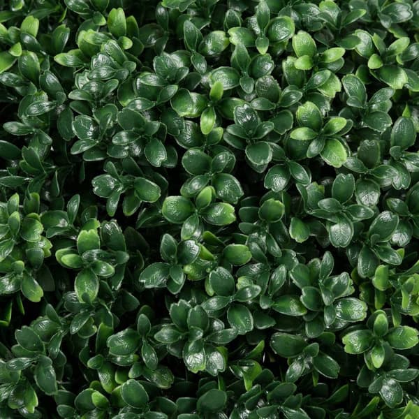 Rootz -uppsättning av 2 konstgjorda boxwood - realistisk - väderbeständig - enkel vård - 40 cm x 70 cm