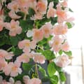 Miniatyrbillede 3 af 7: 90cm kunstig kirsebærblomst vin, UV-bestandig hængende kunstig lavet, vægdekoration til bryllup og hjem