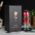Miniatyrbillede 10 af 11: EVIGE DOBBELTROSE I GLAS Glødende LED GAVE