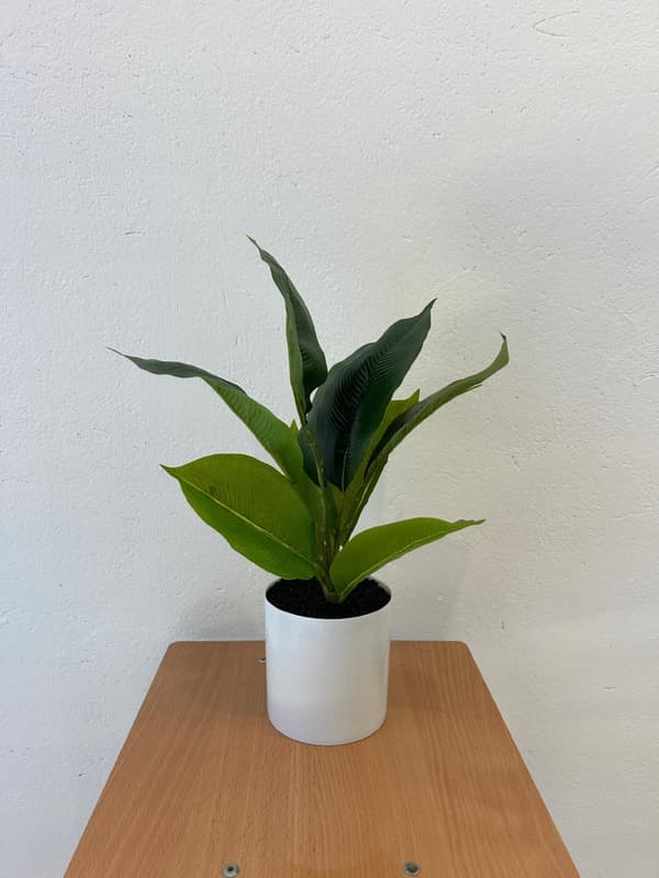 KUNSTIG POTTEPLANT REALISTISK 34CM FICUS FIGEN DEKORATION