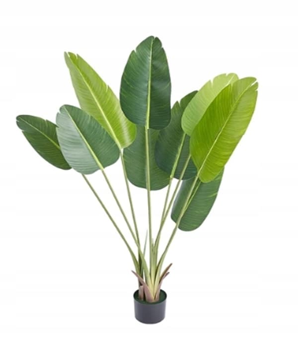 KONSTGJORD VÄXTA BANANPALM Exotisk I KRUKAN REALISTISK 150cm