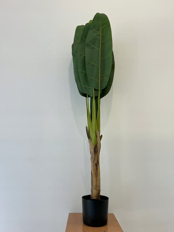 Keinotekoinen kaksoisbanaanipalmu realistisessa ruukussa 150 cm