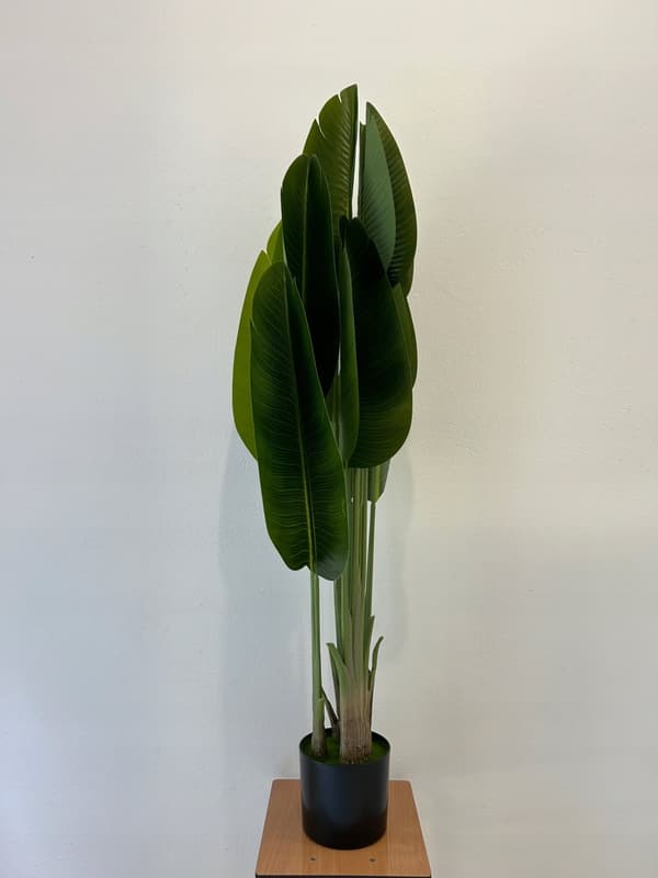 KUNSTIG PALMEPLANTE Strelitzia PARADISFUGL I POTTE REALISTISK 180cm