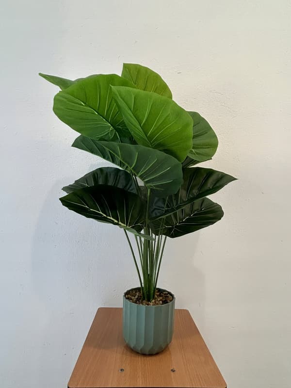 KUNSTIG PLANTE ALOCASIA ELEFANTØRE I POTTE REALISTISK 60CM BUSK