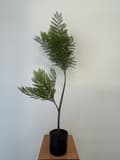 Miniatyrbillede 7 af 7: KUNSTIG MIMOSA JAKARANDA PLANTE I POTTE REALISTISK 110 cm HJEMMEKONTOR