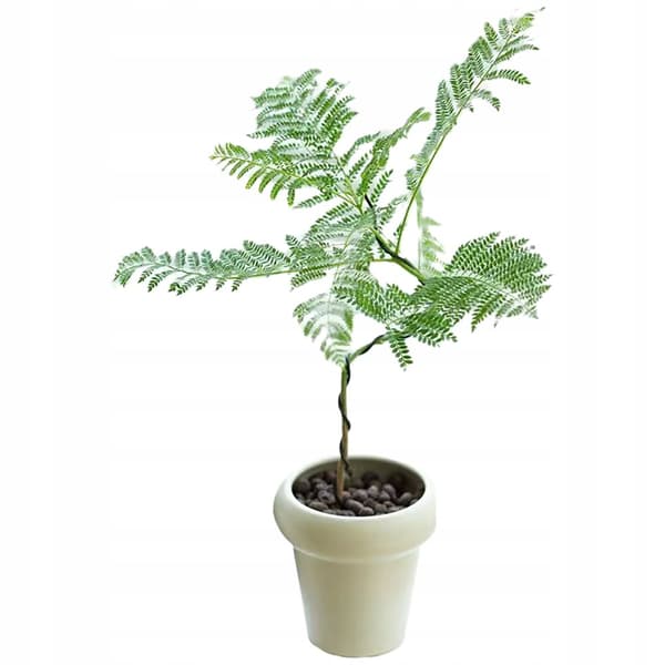 KUNSTIG MIMOSA JAKARANDA PLANTE I POTTE REALISTISK 110 cm HJEMMEKONTOR