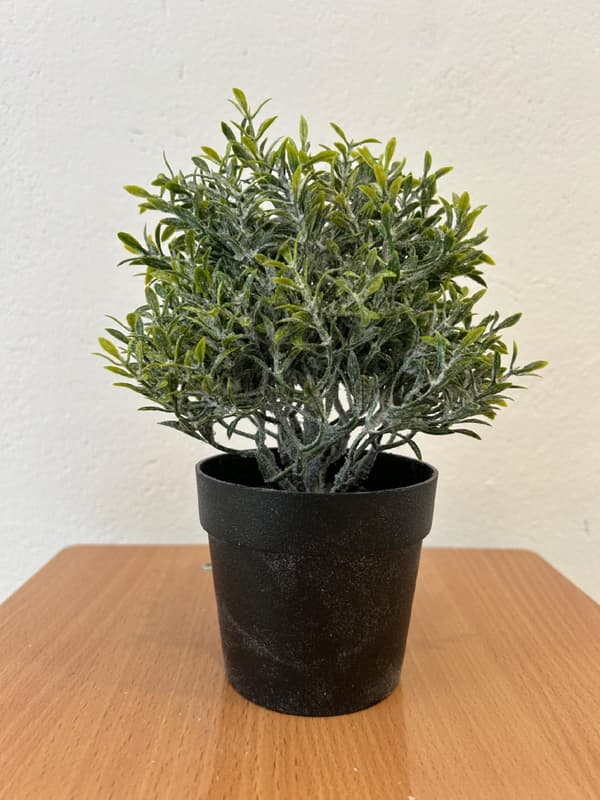 KUNSTIG POTTEPLANTE REALISTISK 20CM FLOTT ROSMARINBUSK