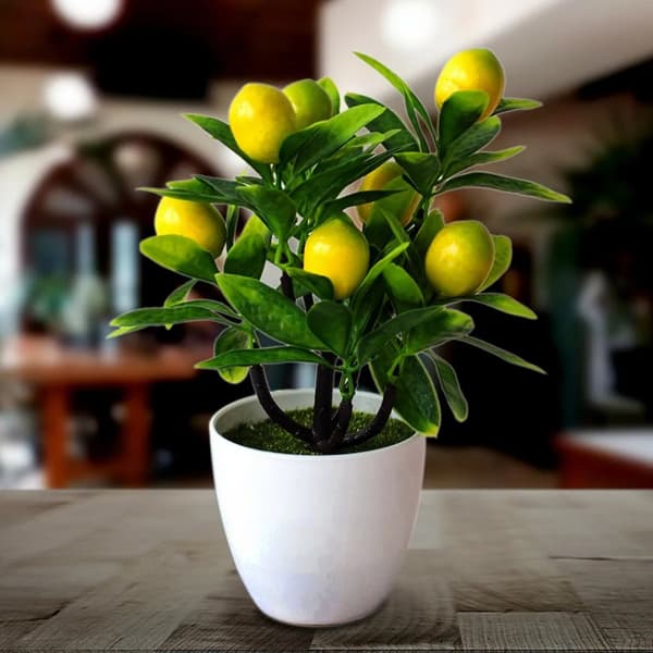 KUNSTIG CITRONTRÆ Kunstig Plante 18x24cm FLOTT BONAI Potte