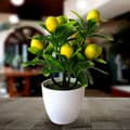 Miniatyrbillede 3 af 4: KUNSTIG CITRONTRÆ Kunstig Plante 18x24cm FLOTT BONAI Potte