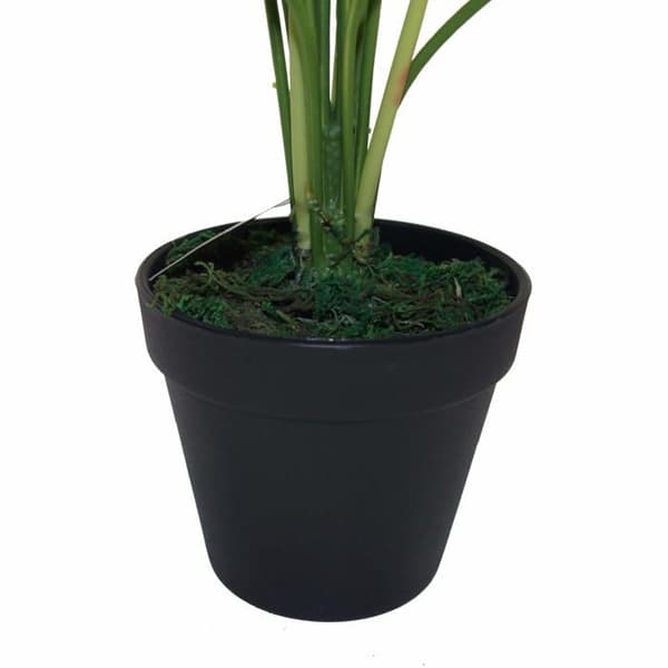 Konstgjord blomväxt - torkad blomma Leaf - LEAF-7067 - Design UK Konstgjord växt i svart plast 60 cm