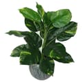 Miniatyrbild 1 av 3: Konstgjord blomväxt - torkad blomma Leaf - LEAF-7067 - Design UK Konstgjord växt i svart plast 60 cm