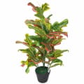 Miniatyrbild 3 av 4: Leaf - LEAF-7083 - Multicolored Artificiell Codiaeum Leaf Home Svart Plastkruka Stor modell 90 cm