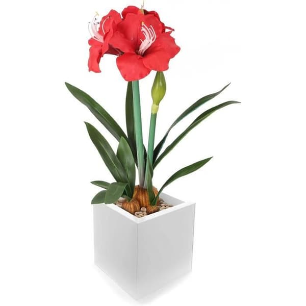 Closer To Nature FT033RD - Röd konstgjord Amaryllis 55 cm