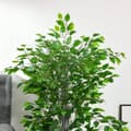 Miniatyrbillede 7 af 9: Kunstig Ficus Træ, 135 cm, Grøn