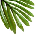 Pikkukuva 7 / 9: Tekopalmu, 150 cm, Vihreä