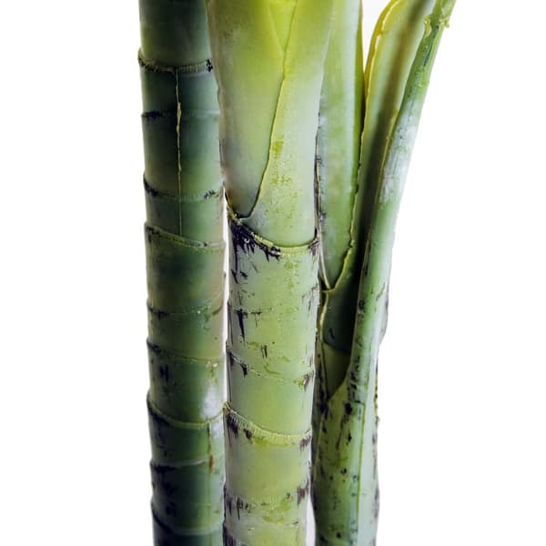 Tekopalmu, 150 cm, Vihreä