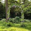 Miniatyrbillede 6 af 7: Lollanda 10-pak realistiske kunstige blåregnsranker – UV-bestandige hængende blåregnblomster til bryllupper, fester og havedekoration