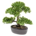 Miniatyrbild 2 av 2: Emerald Konstväxt bonsaiträd fikus mini grön 32 cm 420002