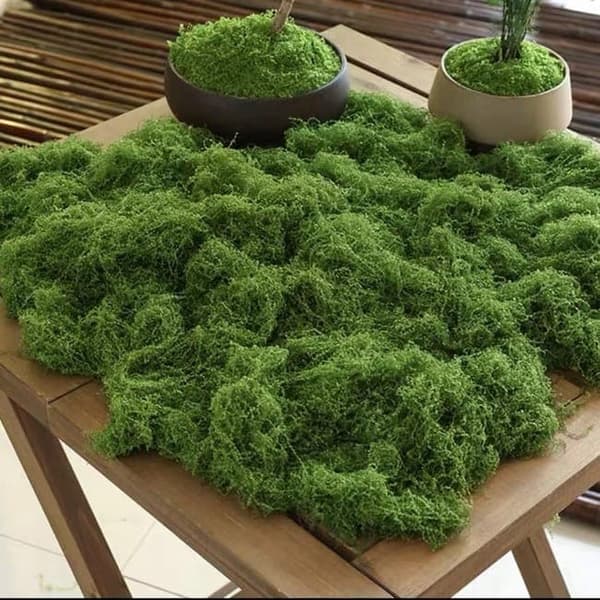 Lollanda 150g Konstgjord Moss, Hållbar och Färgbeständig, Enkel att Använda för Hantverk,falsk mossa, Modellbygge & Dekoration