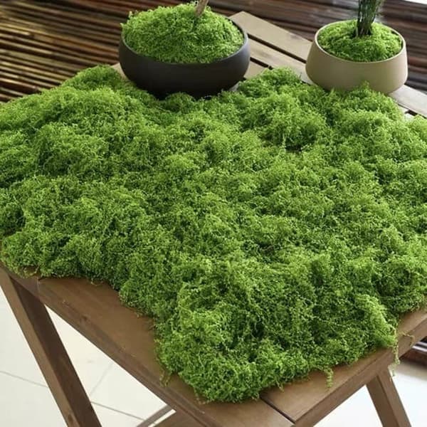 Lollanda 150g Konstgjord Moss, Hållbar och Färgbeständig, Enkel att Använda för Hantverk,falsk mossa, Modellbygge & Dekoration