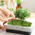 Miniatyrbild 5 av 8: Lollanda 150g Konstgjord Moss, Hållbar och Färgbeständig, Enkel att Använda för Hantverk,falsk mossa, Modellbygge & Dekoration