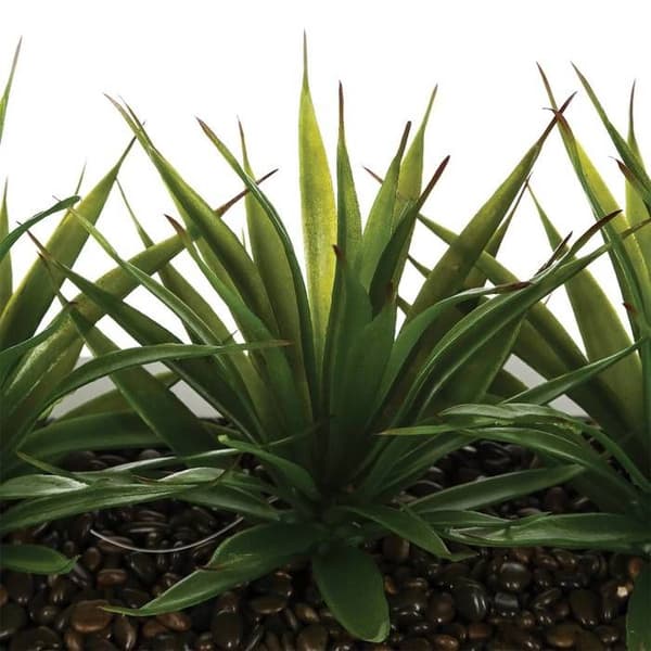 Bordstablett - ATMOSPHERA - Sats med 3 Aloe Vera - H17 cm - Vit - Modern design