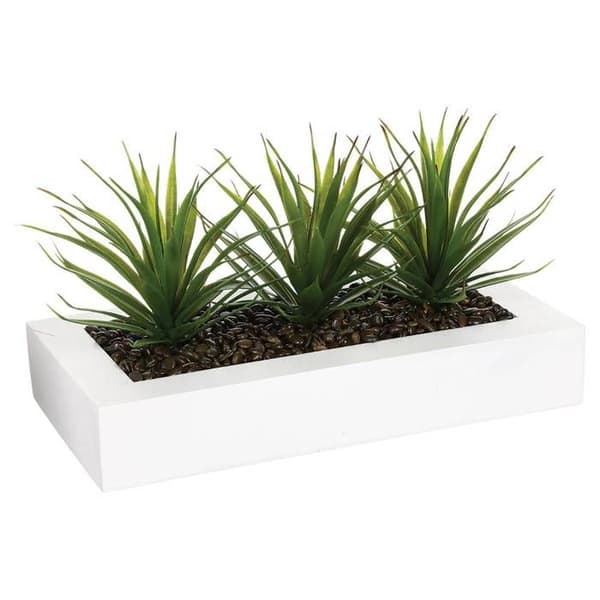 Bordstablett - ATMOSPHERA - Sats med 3 Aloe Vera - H17 cm - Vit - Modern design