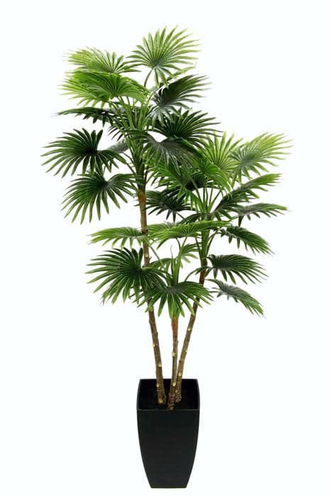 Konstgjord blomväxt - torkad blomma Flair - 151586GN - Konstgjord palmblomma i grön konisk kruka 105 cm