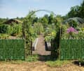Miniatyrbillede 7 af 7: Lollanda Privacy Screen Ivy/Artificial Privacy Fence - 0.5/1x3 m, Udendørs Privacy Protection, Lydisolering