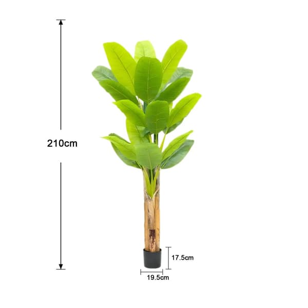 Teko Banaani Puu, Korkeus 190cm/210cm, Realistinen Vihreys,210 cm