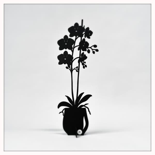 Orkidé - ETERNITY 2025 Vit 47 cm