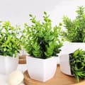 Miniatyrbillede 4 af 9: Lollanda 4 Kunstige Planter med Potte, Kunstig Plante - 17x12 cm til Hjem & Kontor