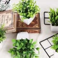 Miniatyrbillede 5 af 9: Lollanda 4 Kunstige Planter med Potte, Kunstig Plante - 17x12 cm til Hjem & Kontor