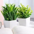 Miniatyrbillede 6 af 9: Lollanda 4 Kunstige Planter med Potte, Kunstig Plante - 17x12 cm til Hjem & Kontor