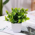 Miniatyrbillede 7 af 9: Lollanda 4 Kunstige Planter med Potte, Kunstig Plante - 17x12 cm til Hjem & Kontor