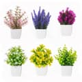 Miniatyrbild 1 av 10: Lollanda 6-Pack Konstgjorda Växter i Kruka – Mini Blommor för Hem- och Kontorsdekoration