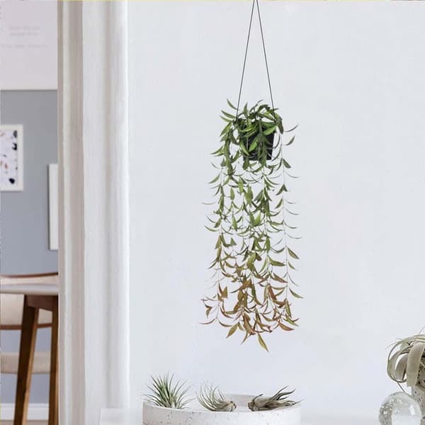 Lollanda Konstväxt med Blomkruka – 1 St Konstgjord Växt (60 cm), Kan Hängas Upp