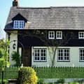 Miniatyrbild 6 av 7: Lollanda Konstgjord murgröna klätterväxt – utomhus trädgårdsdekoration för avskildhet, passar för bröllop, kök, trädgård och väggar
