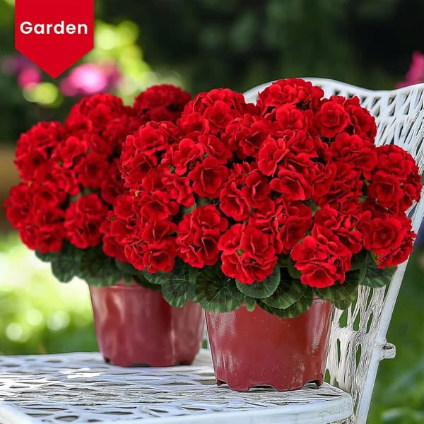 OBOSOE 24-pak kunstige pelargonier, UV-resistente falske blomster udendørs planter indretning