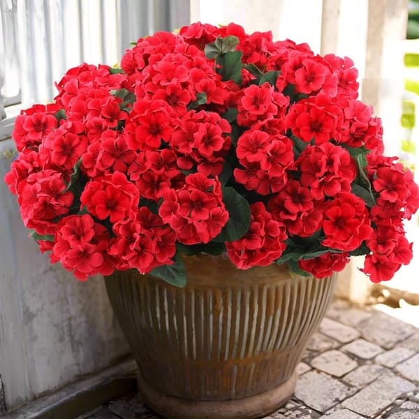 OBOSOE 24-pak kunstige pelargonier, UV-resistente falske blomster udendørs planter indretning Rød 12 st