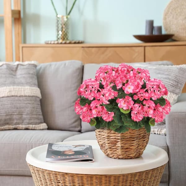OBOSOE 24-pak kunstige pelargonier, UV-resistente falske blomster udendørs planter indretning