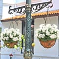 Miniatyrbillede 4 af 7: OBOSOE 24-pak kunstige pelargonier, UV-resistente falske blomster udendørs planter indretning