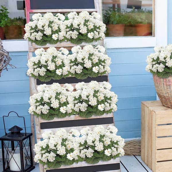 OBOSOE 24-pak kunstige pelargonier, UV-resistente falske blomster udendørs planter indretning