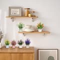 Miniatyrbillede 2 af 6: Lollanda 6-pak kunstige planter med krukker – realistiske indendørs planter til borde, perfekte som boligindretning og indretning