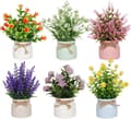 Miniatyrbillede 1 af 6: Lollanda 6-pak kunstige planter med krukker – realistiske indendørs planter til borde, perfekte som boligindretning og indretning