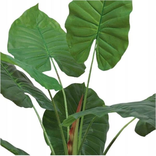 Fleur-plante artificiell - torkad blomma Beliani Konstgjord växt i kruka ALOCASIA WENTII, hög, 110 cm