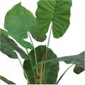 Miniatyrbild 2 av 2: Fleur-plante artificiell - torkad blomma Beliani Konstgjord växt i kruka ALOCASIA WENTII, hög, 110 cm